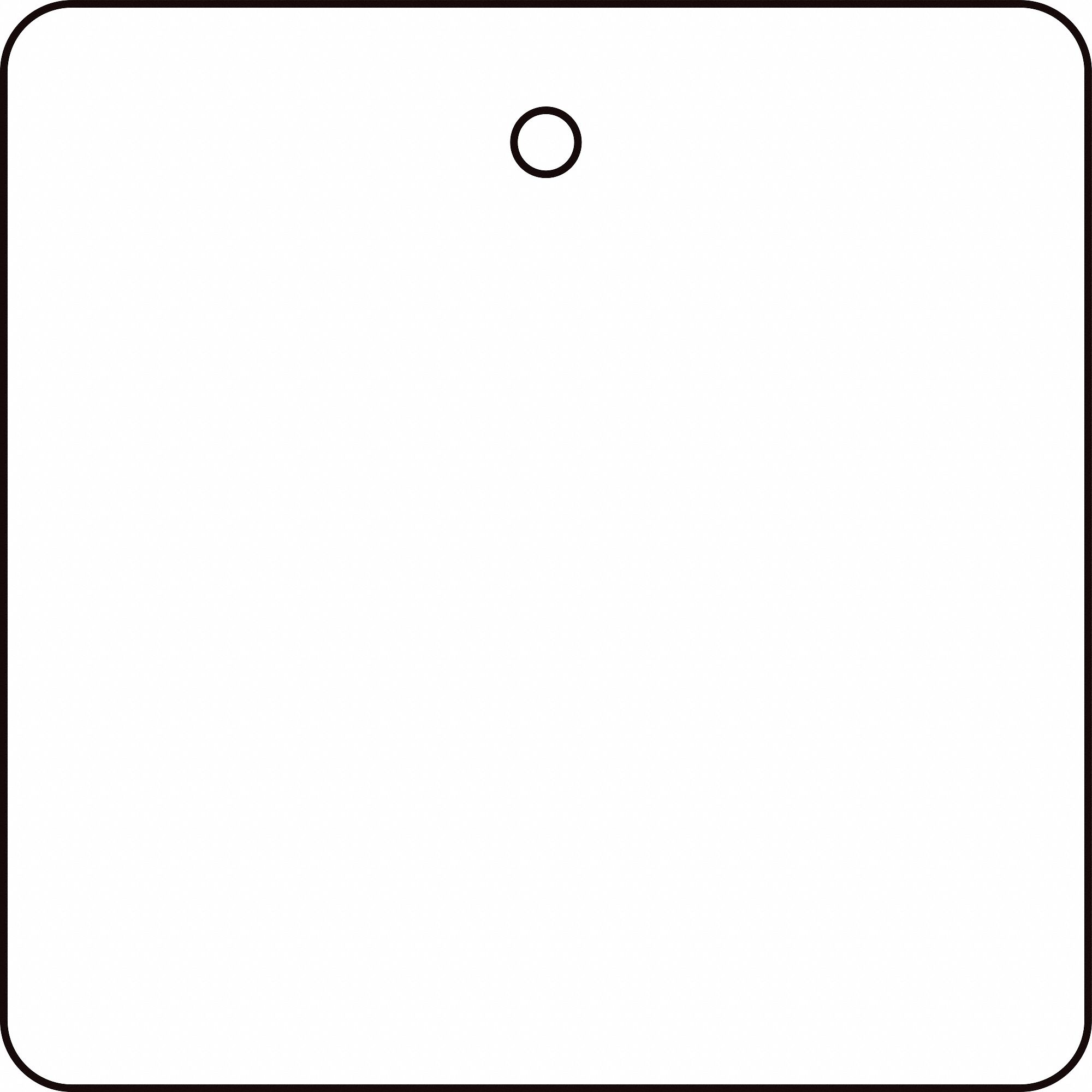 Tag White Plastic 2inH 2inW PK10