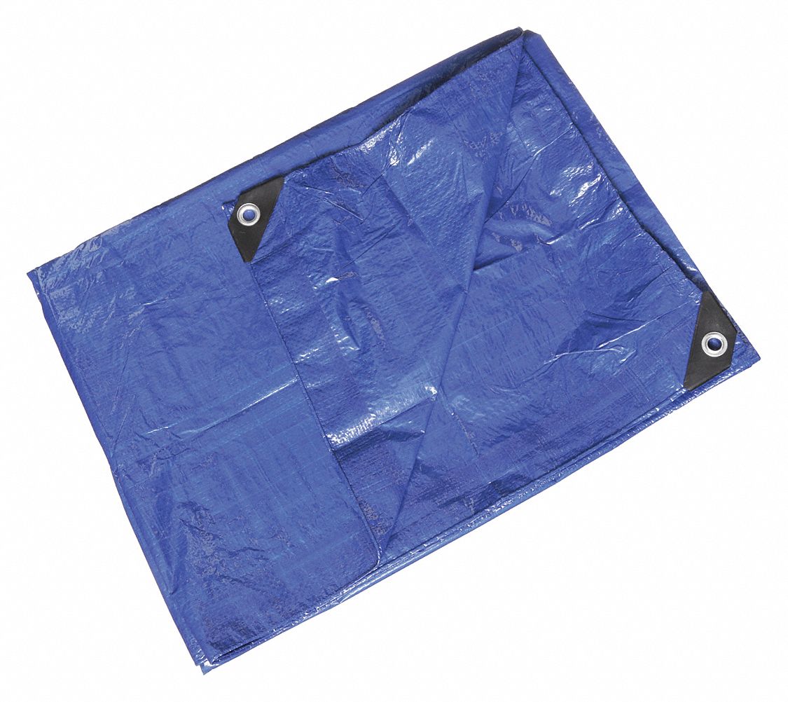 BACHE,POLYETHYLENE,BLEU/VERT,6X8PI