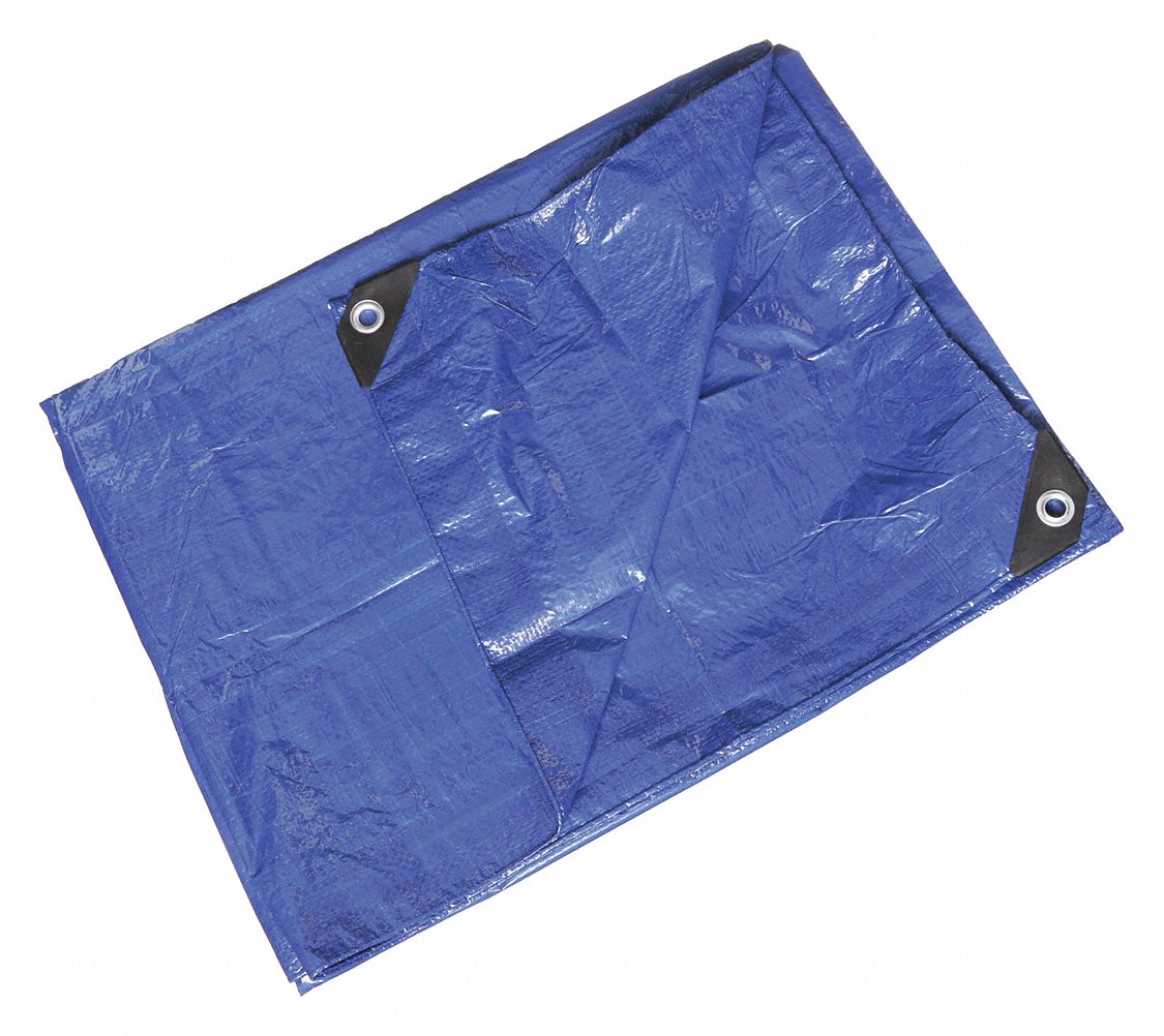 TARP,POLYETHYLENE,BLUE/GREEN,10X12F