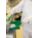 Product Image #4