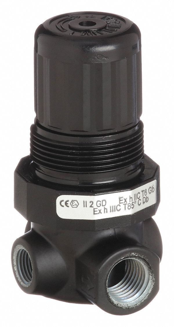 Compressed Air Regulator 22YT26R07200RNAA Grainger