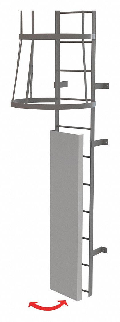 Ladder, Fixed, Steel, Guard Door