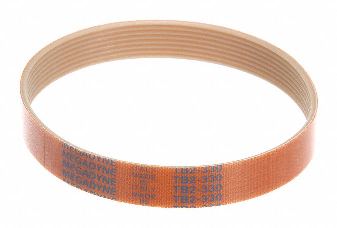 Ribbed Belt
