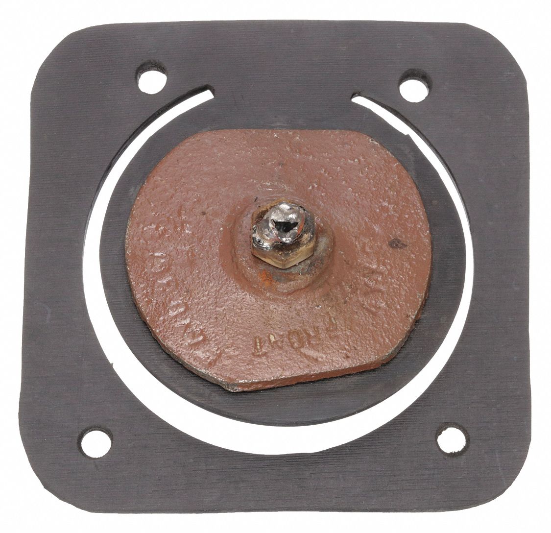 Check Valve Assembly