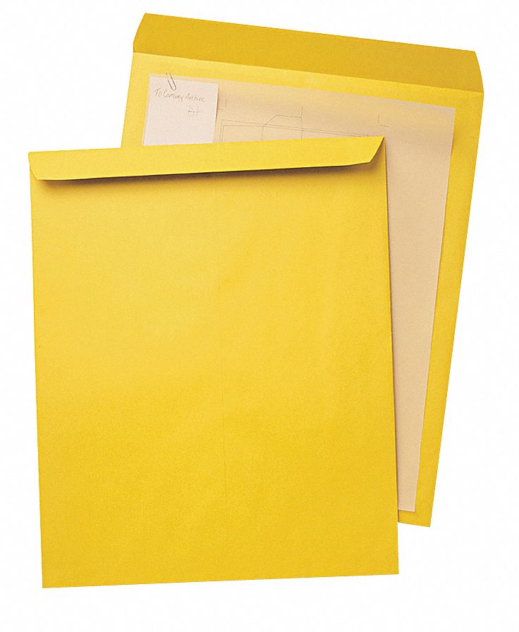 Catalog Envelopes: Kraft, Top, Brown, 25 PK