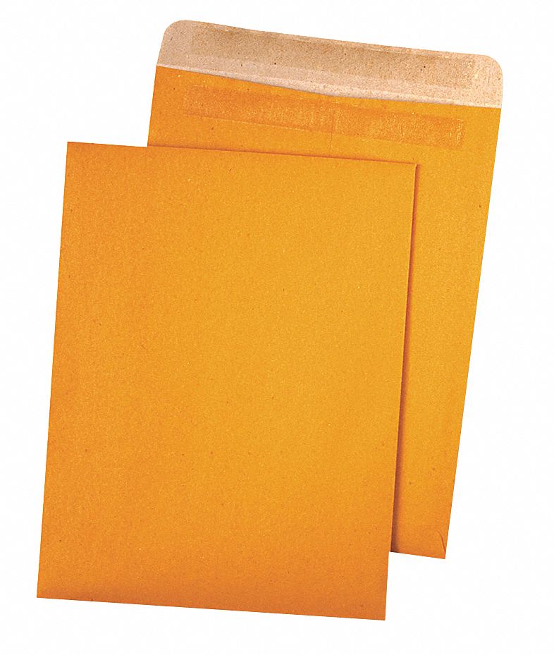 QUALITY PARK Catalog Envelopes, Material Kraft, Envelope Closure Self