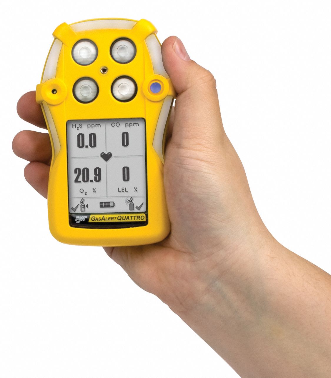 BW TECHNOLOGIES MultiGas Detector, 4 Gas, North America 33N506QT