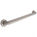 GRAB BAR,STAINLESS STEEL,SATIN,21 L IN.