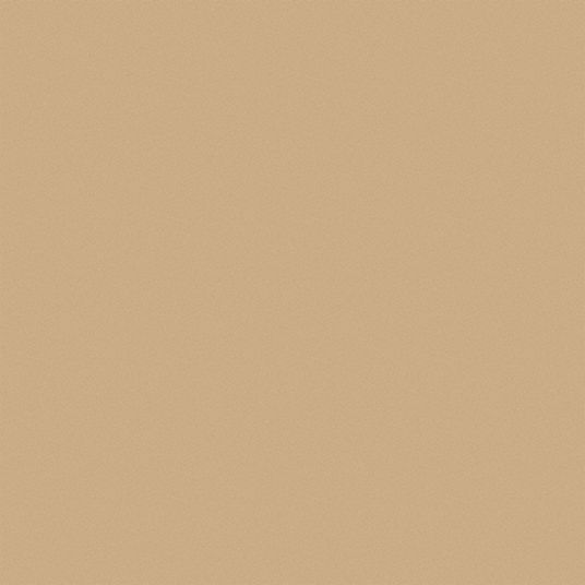 dune prompted tan