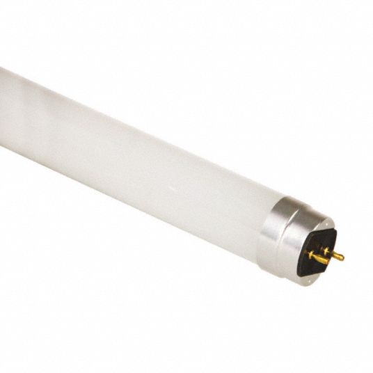 CURRENT, T8, Medium (G13), Linear LED - 48PY03|LED15ET8/G/4/850 - Grainger