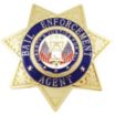 Bail Enforcement Agent Badges