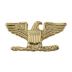 Col. Eagle Insignia
