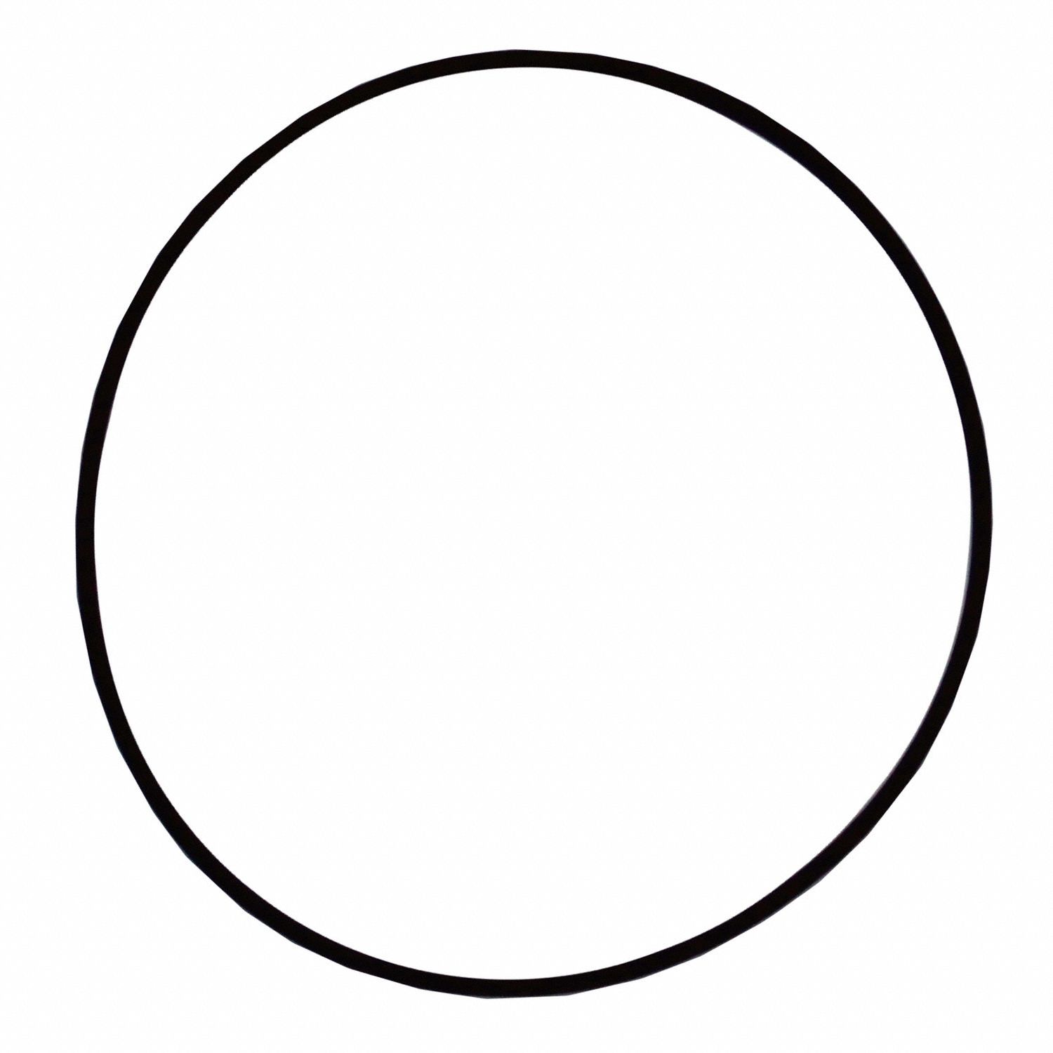 O-Ring