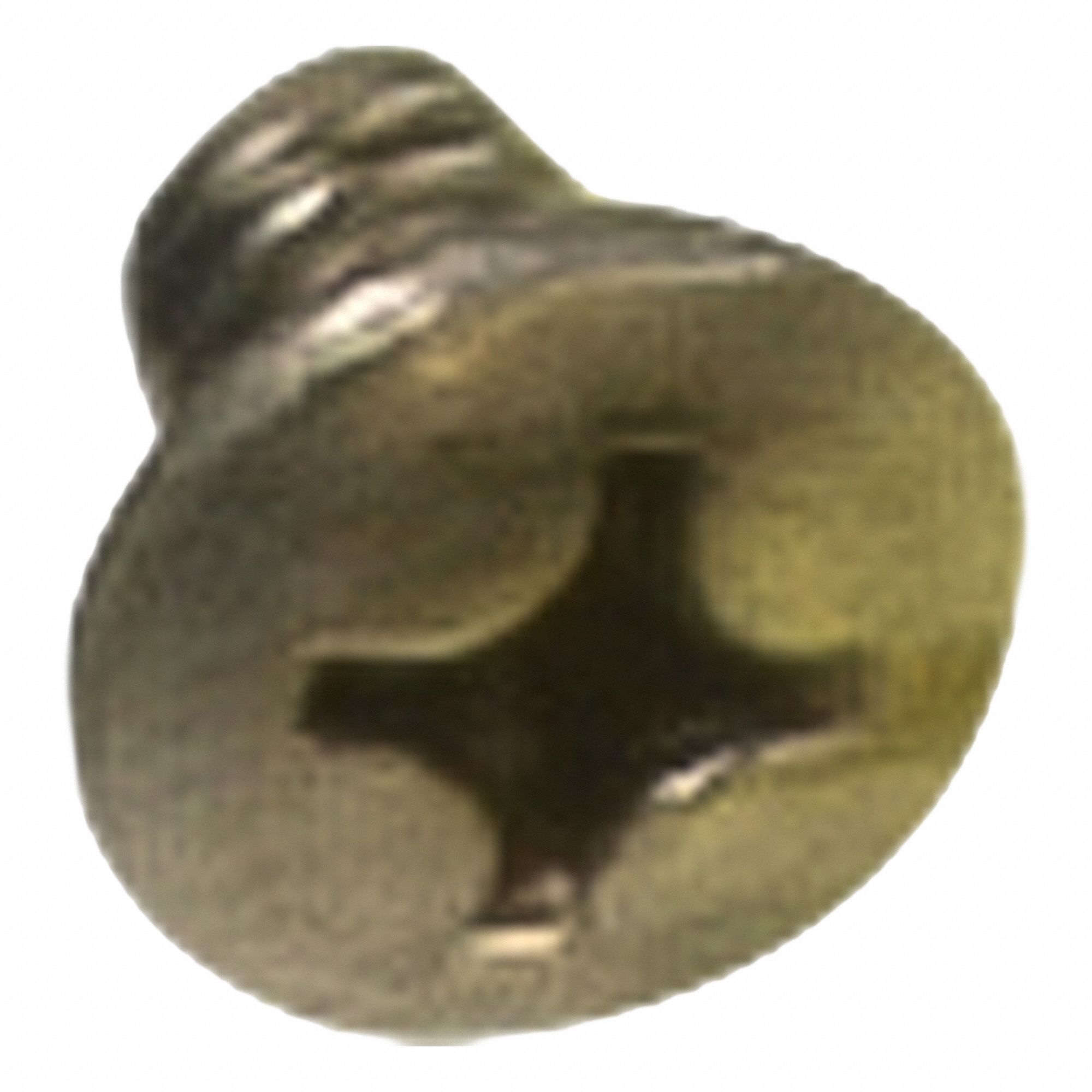 Oval Undercut Screw: Oval Undercut Screw, Tornado, For Shop Vacuum, 12439