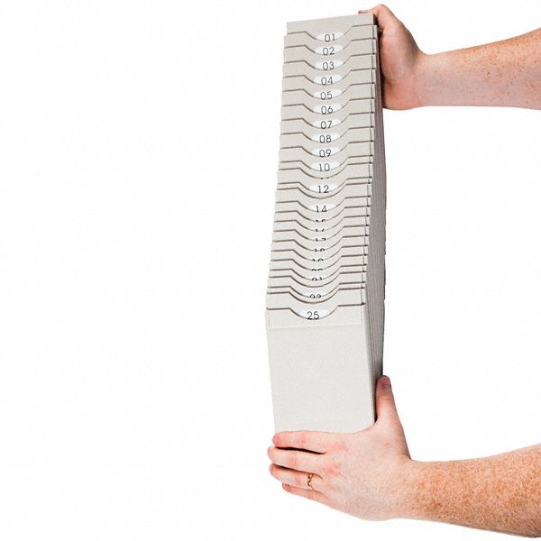 PYRAMID Expanding Time Card Rack, 81/2 x 41/2 in x 1/5 in Pocket Size