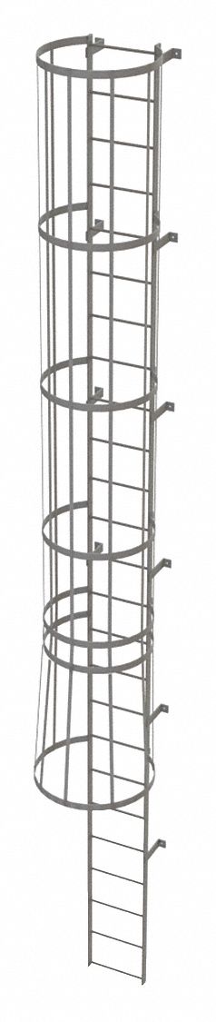 Fixed Ladder with Safety Cage: 24 ft Overall Ht, 18 in Overall Wd, Steel, 25 Rungs