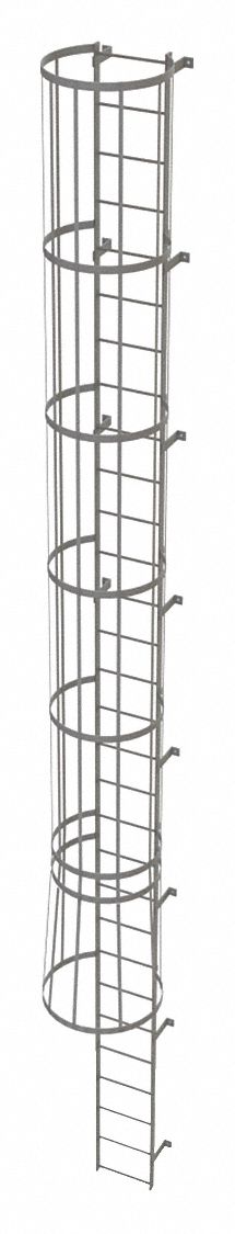 Fixed Ladder with Safety Cage: 29 ft Overall Ht, 18 in Overall Wd, Steel, 30 Rungs
