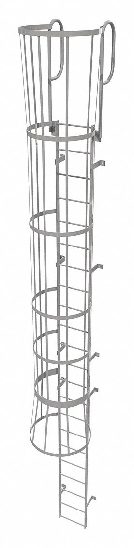 Fixed Ladder with Safety Cage: 25 ft Overall Ht, 18 in Overall Wd, Steel, 22 Rungs