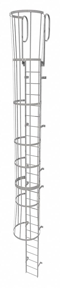 Fixed Ladder with Safety Cage: 28 ft Overall Ht, 18 in Overall Wd, Steel, 25 Rungs
