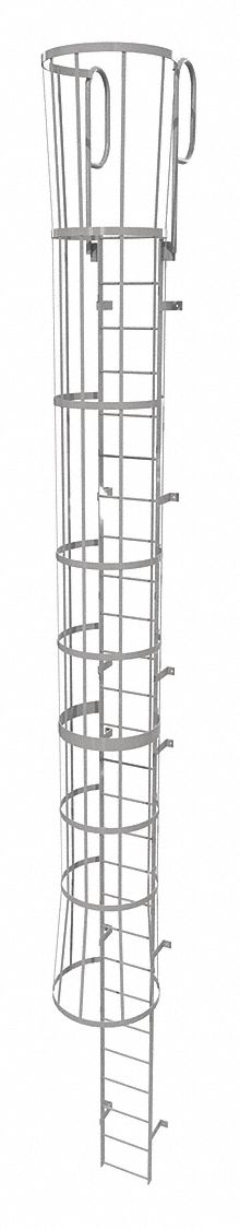 Fixed Ladder with Safety Cage: 30 ft Overall Ht, 18 in Overall Wd, Steel, 27 Rungs