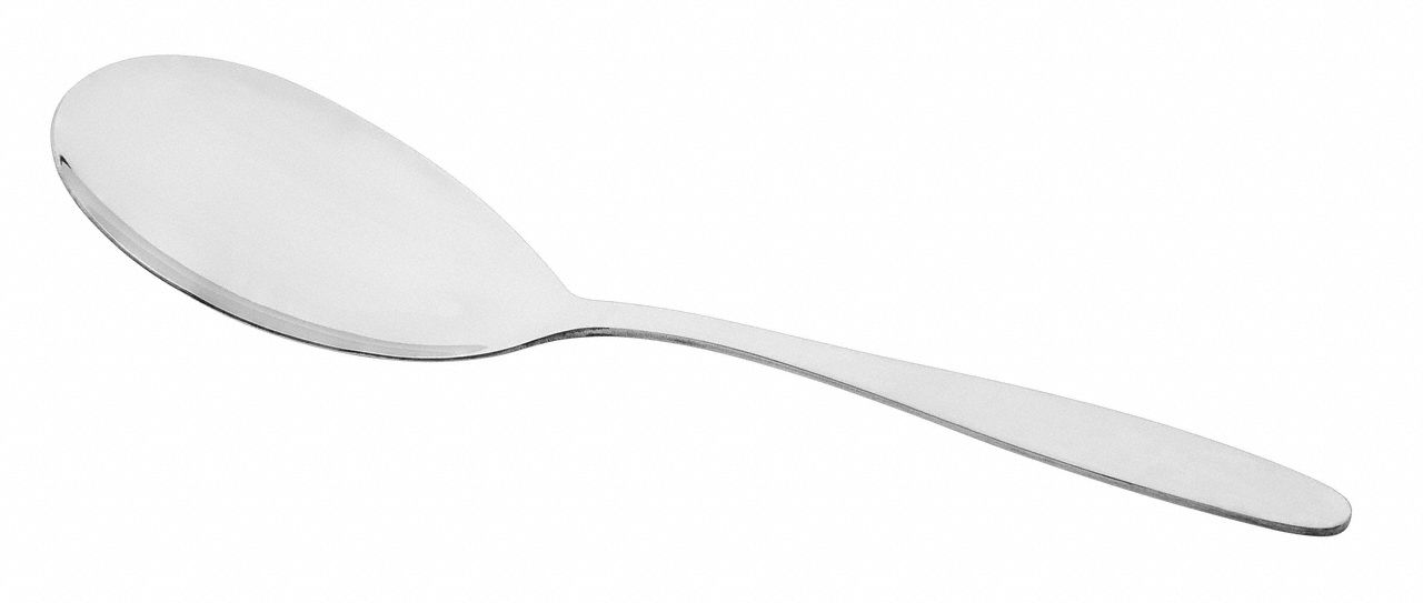 Fruit/Vegetable Server 13.5 in L Silver