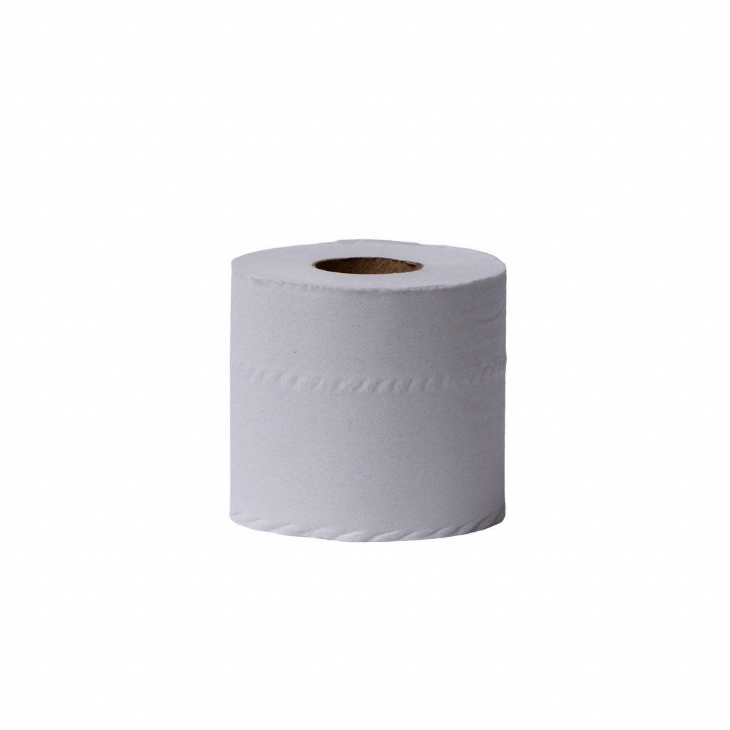Toilet Paper Roll 500 White PK96
