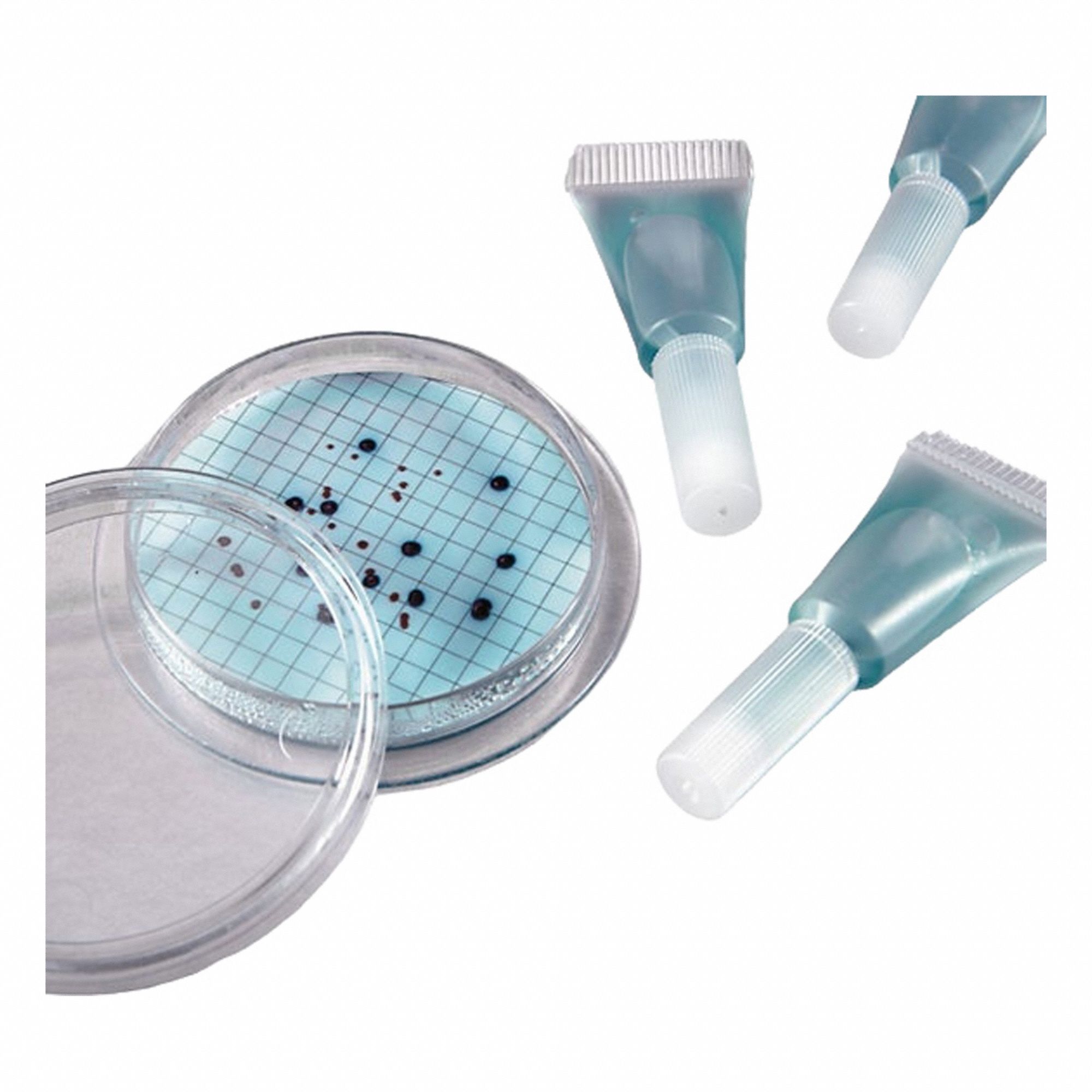 Broth Ampule PK50