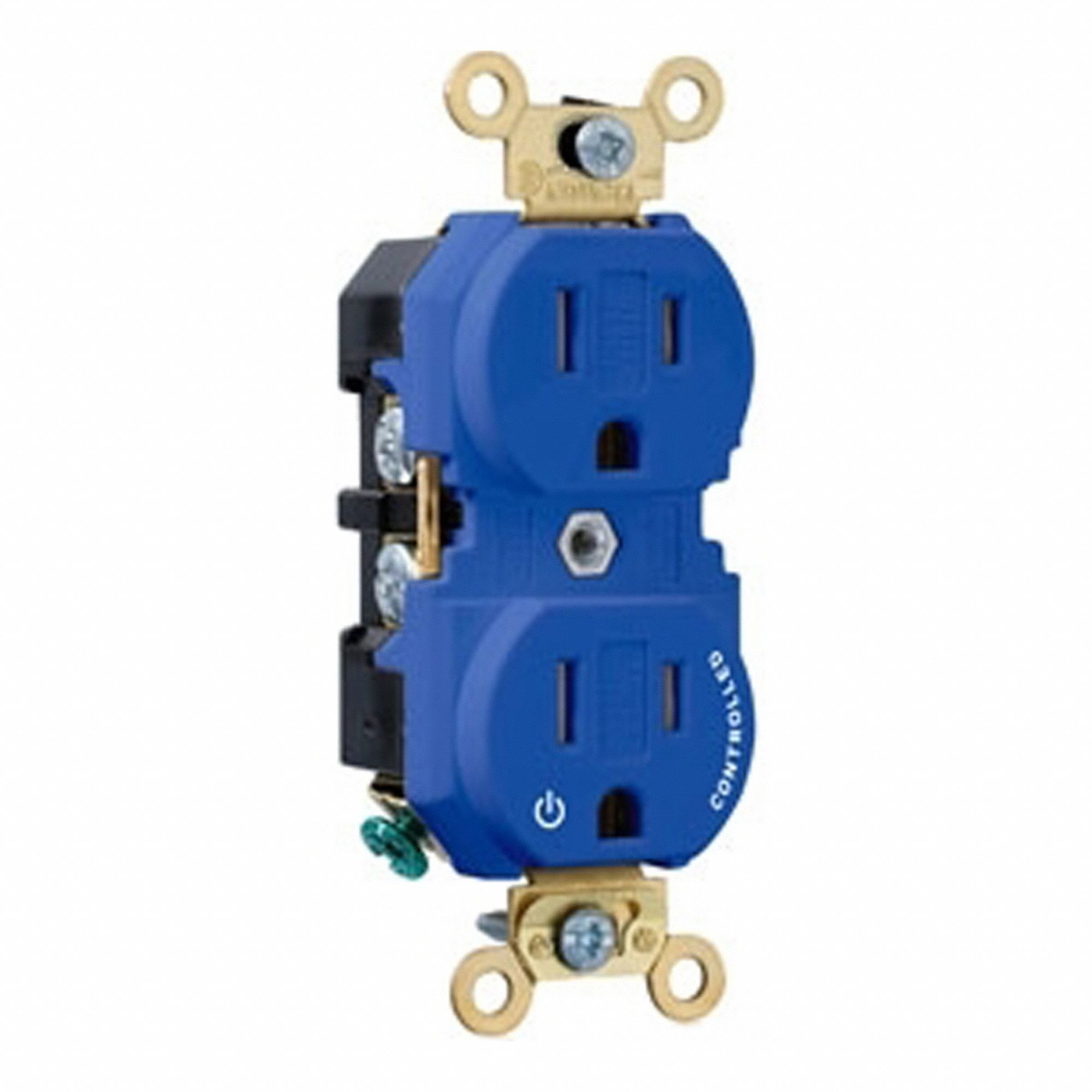 Dup Rec 15A 125V TR 1MCtrl Self-Gr Blue