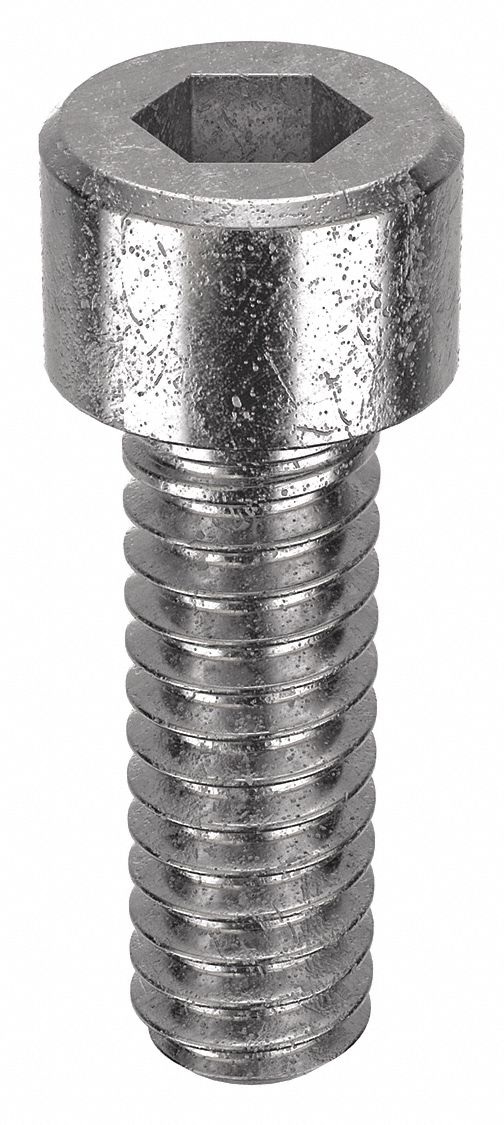 Socket Head Cap Screw: #3-48 Thread Size, 5/16 in Lg, Std, Plain, Stainless Steel, 18-8, 100 PK