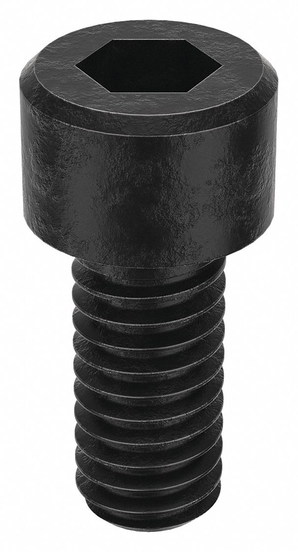 Socket Head Cap Screw: #6-40 Thread Size, 5/16 in Lg, Std, Black Oxide, Alloy Steel, 100 PK