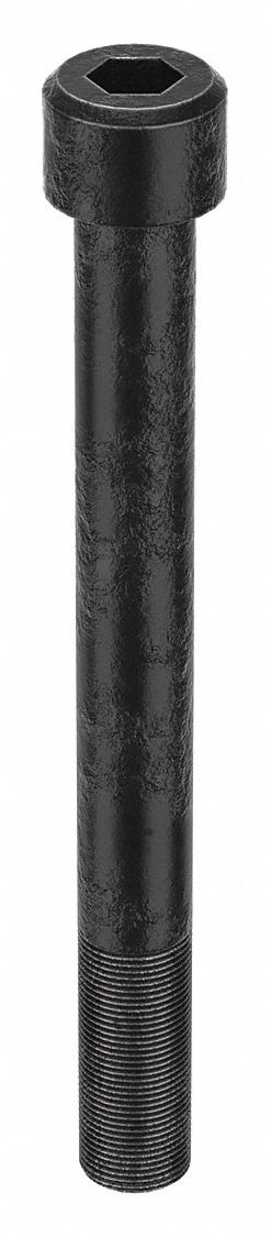 Socket Head Cap Screw: 1 1/4"-12 Thread Size, 12 in Lg, Std, Black Oxide, Alloy Steel, 7/8 in Drive
