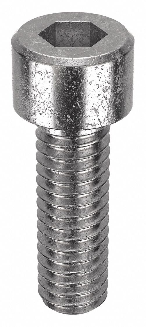 Socket Head Cap Screw: #3-56 Thread Size, 5/16 in Lg, Std, Plain, Stainless Steel, 18-8, 100 PK