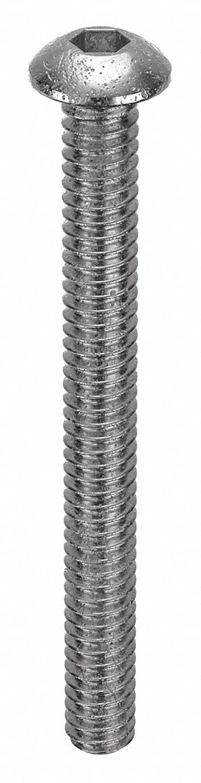 Socket Head Cap Screw: #1-64 Thread Size, 3/4 in Lg, Button, Plain, Stainless Steel, 18-8, 100 PK