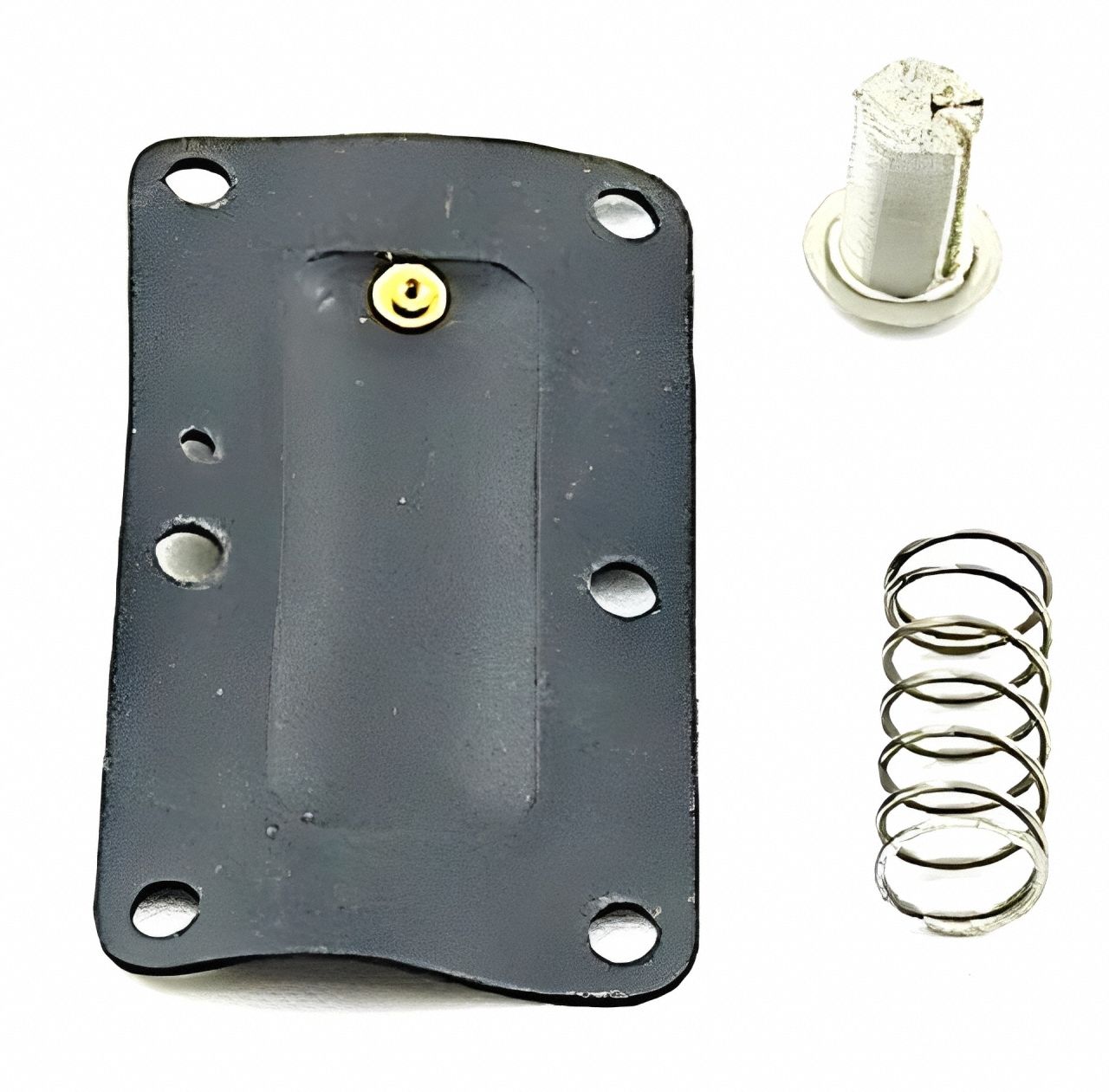 Diaphragm Assy PP901A