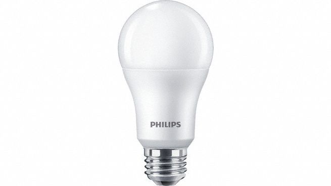 Compact Lamp: Medium