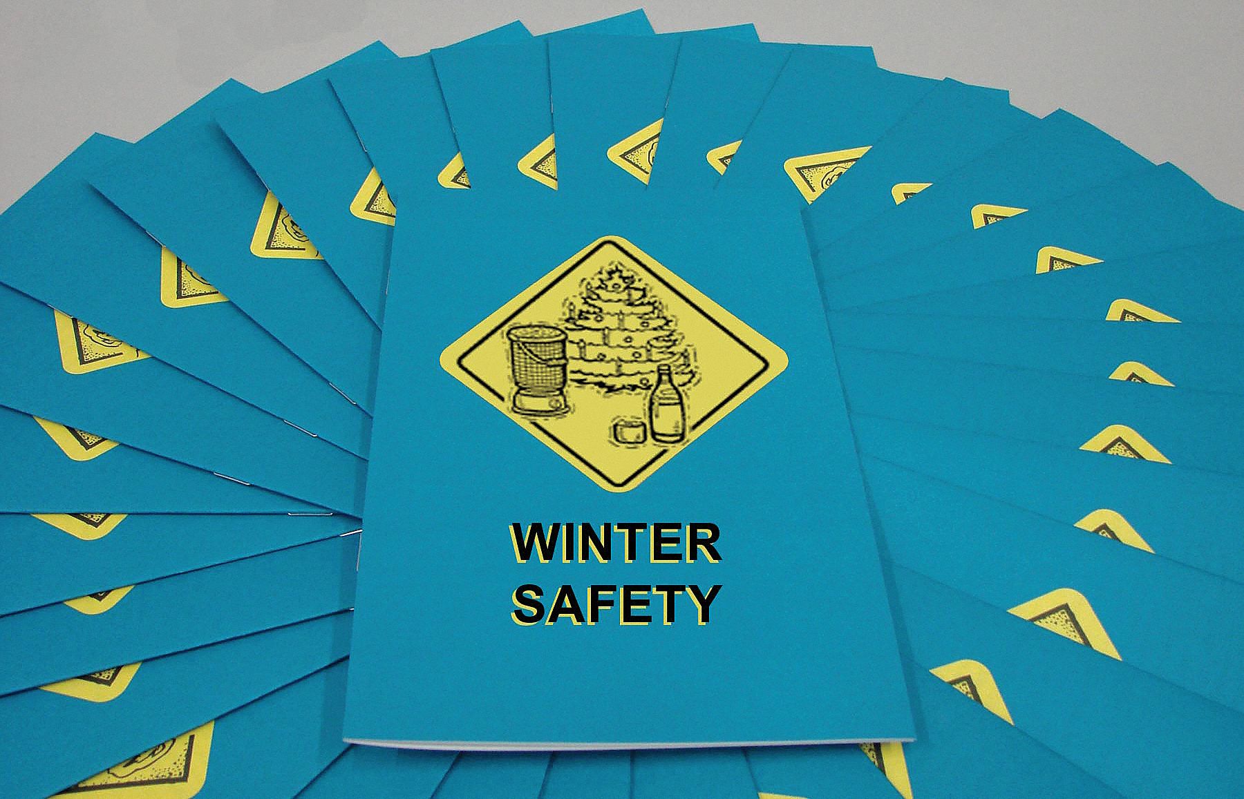 Reference Material: Winter Safety, One-Page Quiz, English/Spanish, 15 PK