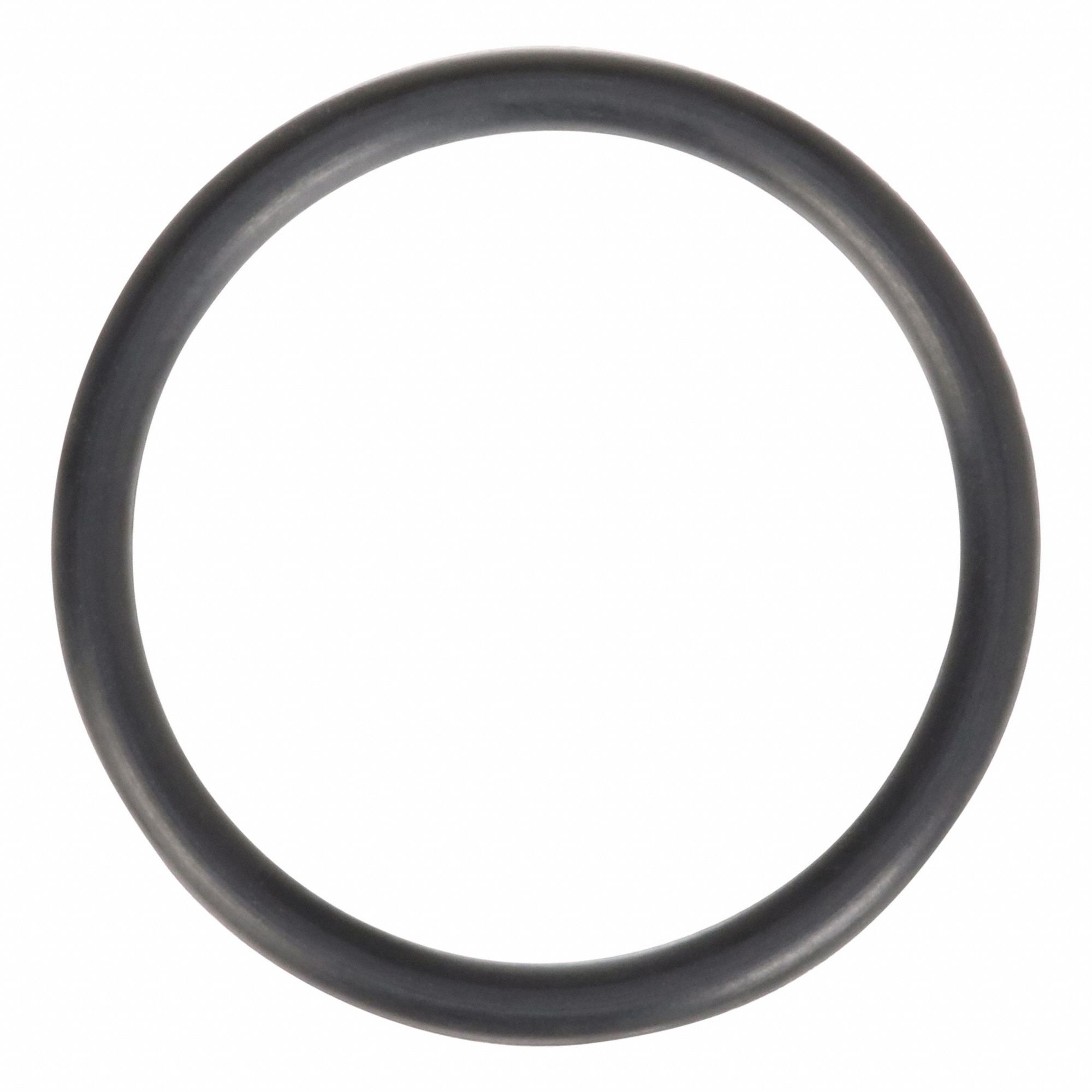 O-Ring: 5004649