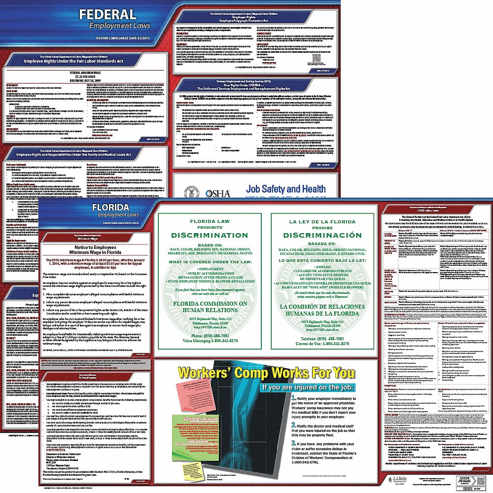 JJ KELLER, Federal and State Labor Law, FL, Labor Law Poster - 36EV77 ...