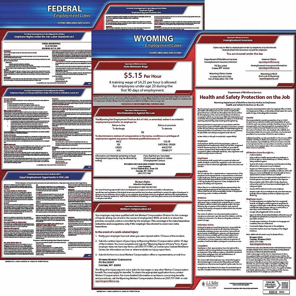 Labor Law Poster Kit: Federal and State Labor Law, WY, English, Plastic, 19 in x 27 in