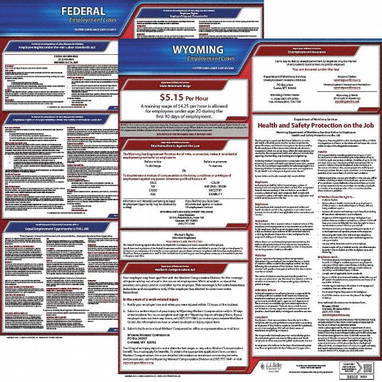 JJ KELLER Labor Law Poster Kit, WY Federal and State Labor Law, English ...