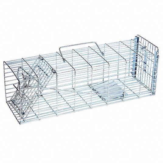 JT EATON Live Animal Trap Small Rodents 29FX41497N Grainger