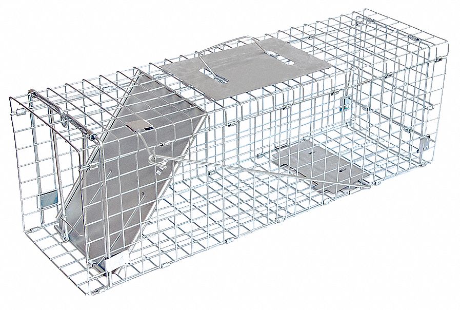 JT EATON Live Animal Trap: Rabbits, Squirrels, Other Medium Pest Animals