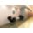 Product Image #3