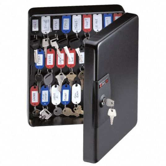 SENTRY SAFE Key Cabinet: Wall Mount, 3 15/16 in Dp