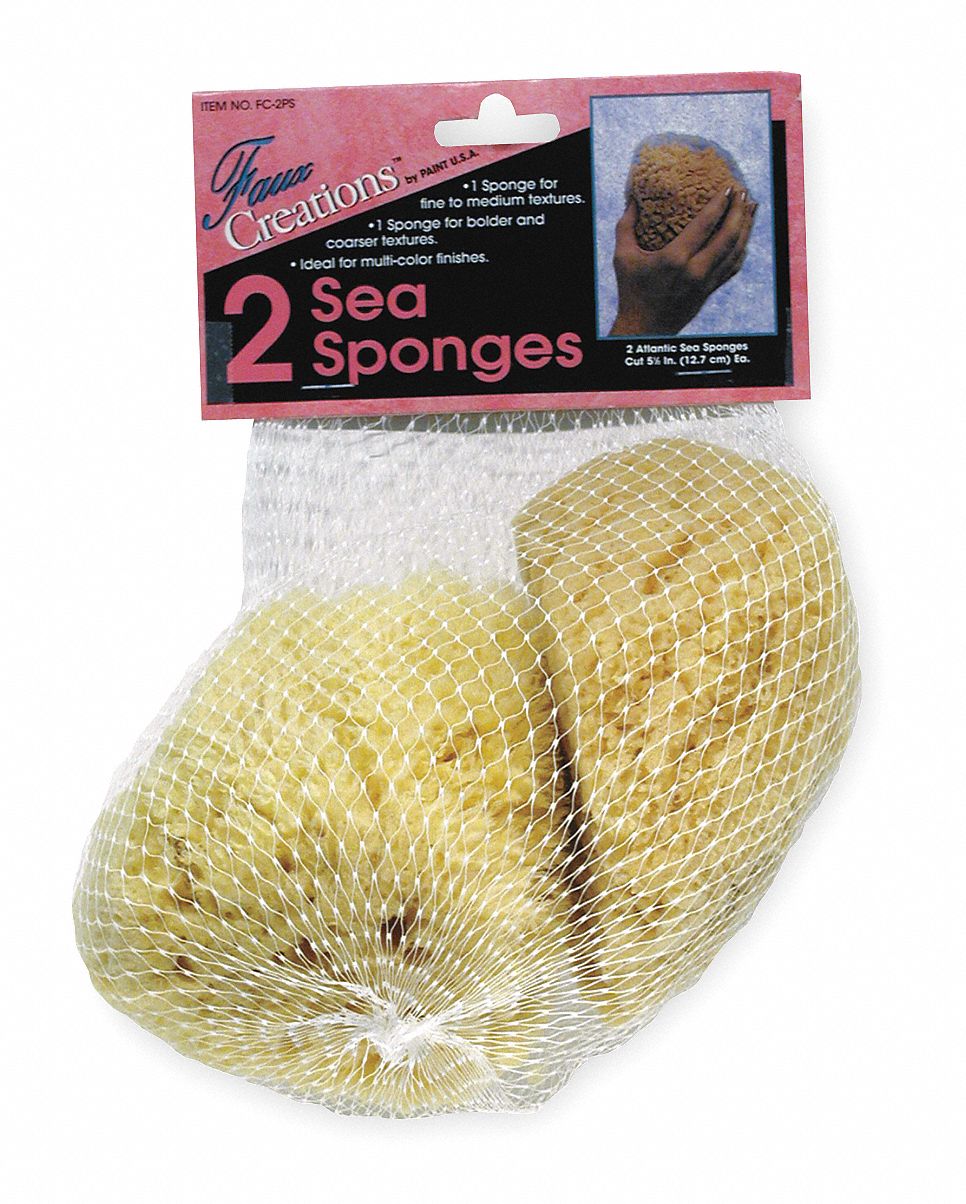 GRAINGER APPROVED Natural Sponge, Natural, 5 1/2 in Length, PK 2