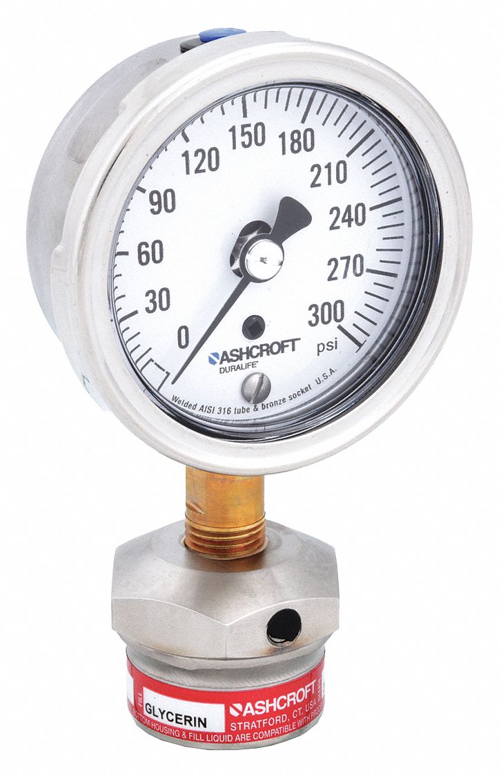 PRESSURE GAUGE,0 TO 300 PSI,2-1/2IN