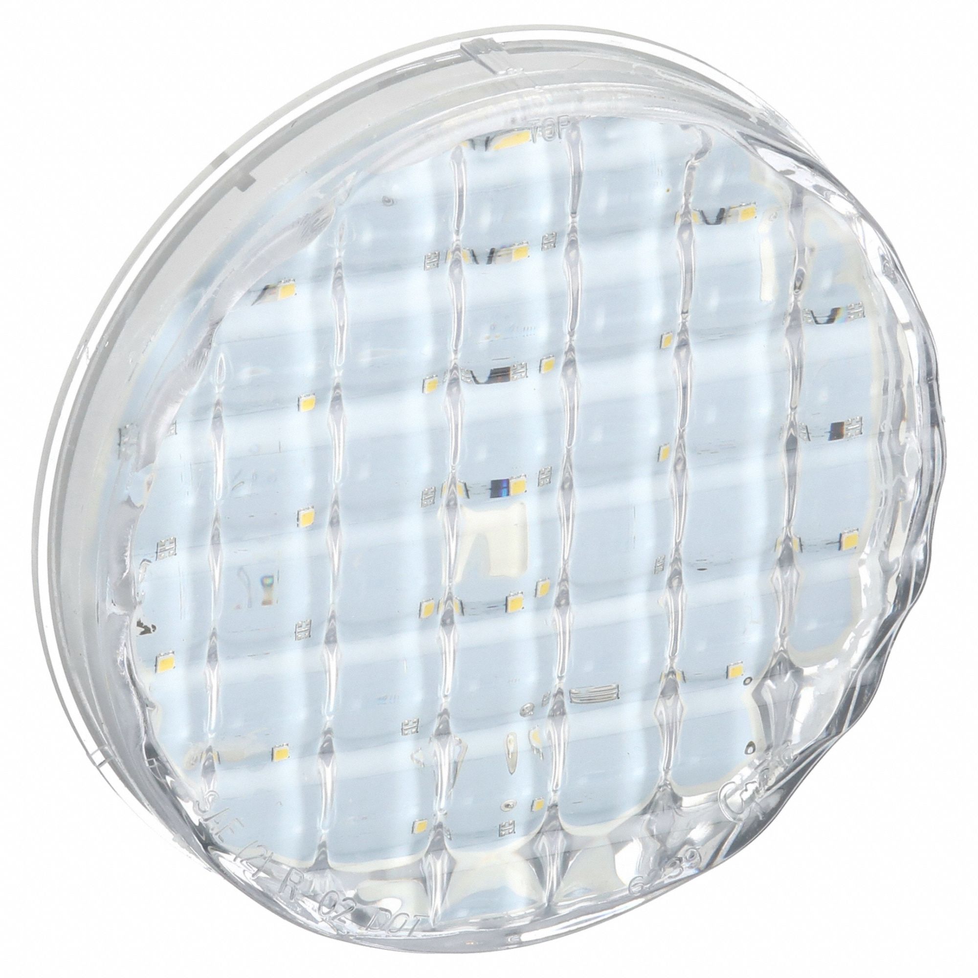 GROTE, LED, Backup/Reverse Light, BackUp Light 2CWP362391 Grainger