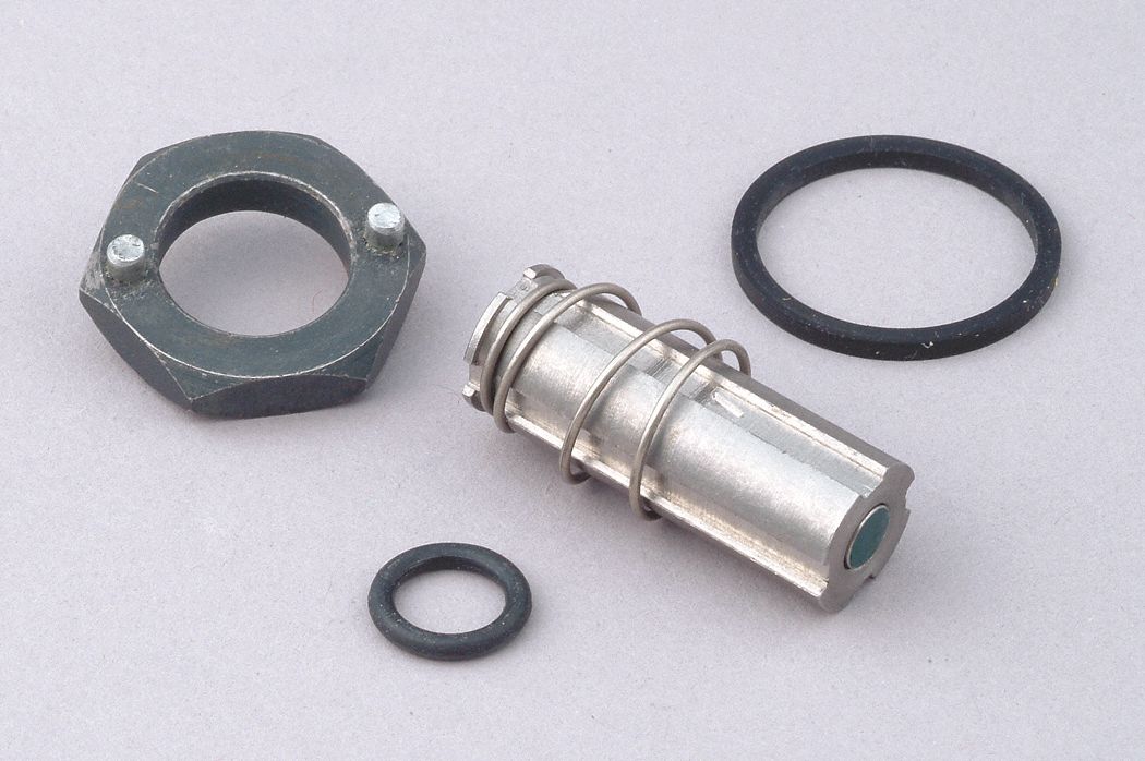 VALVE REBUILD KIT, INCLUDES GASKET, INSTRUCTIONS, O-RING, PLUNGER ASSEMBLY, SPANNER WRENCH, SPRING