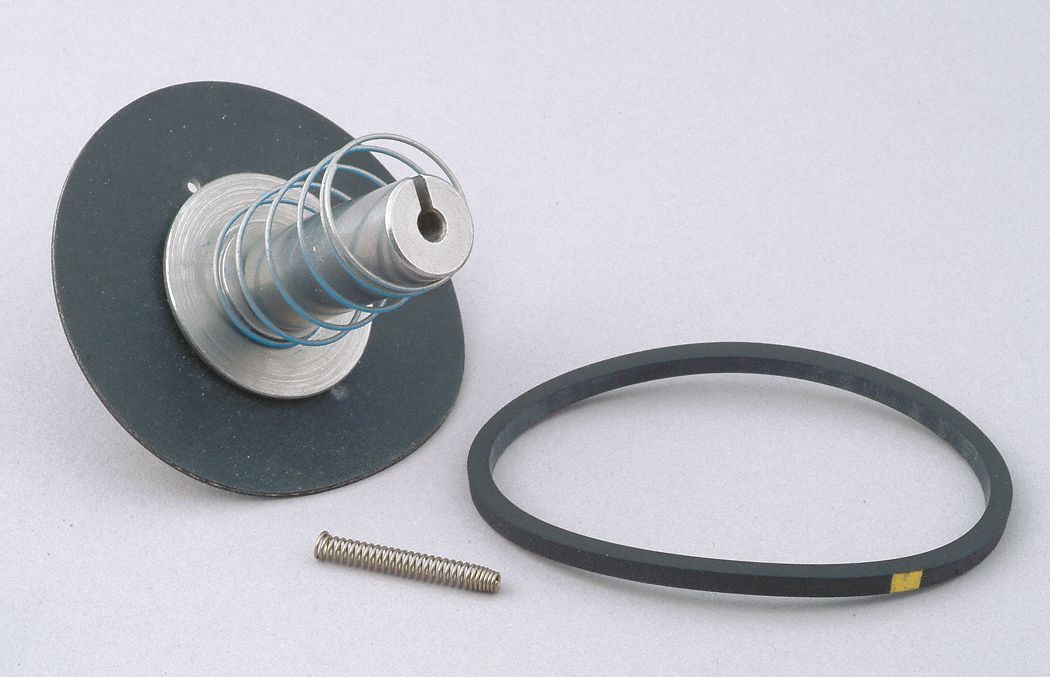 VALVE REBUILD KIT, INCLUDES DIAPHRAGM ASSEMBLY, GASKET, INSTRUCTIONS, PLUNGER ASSEMBLY, SPRING