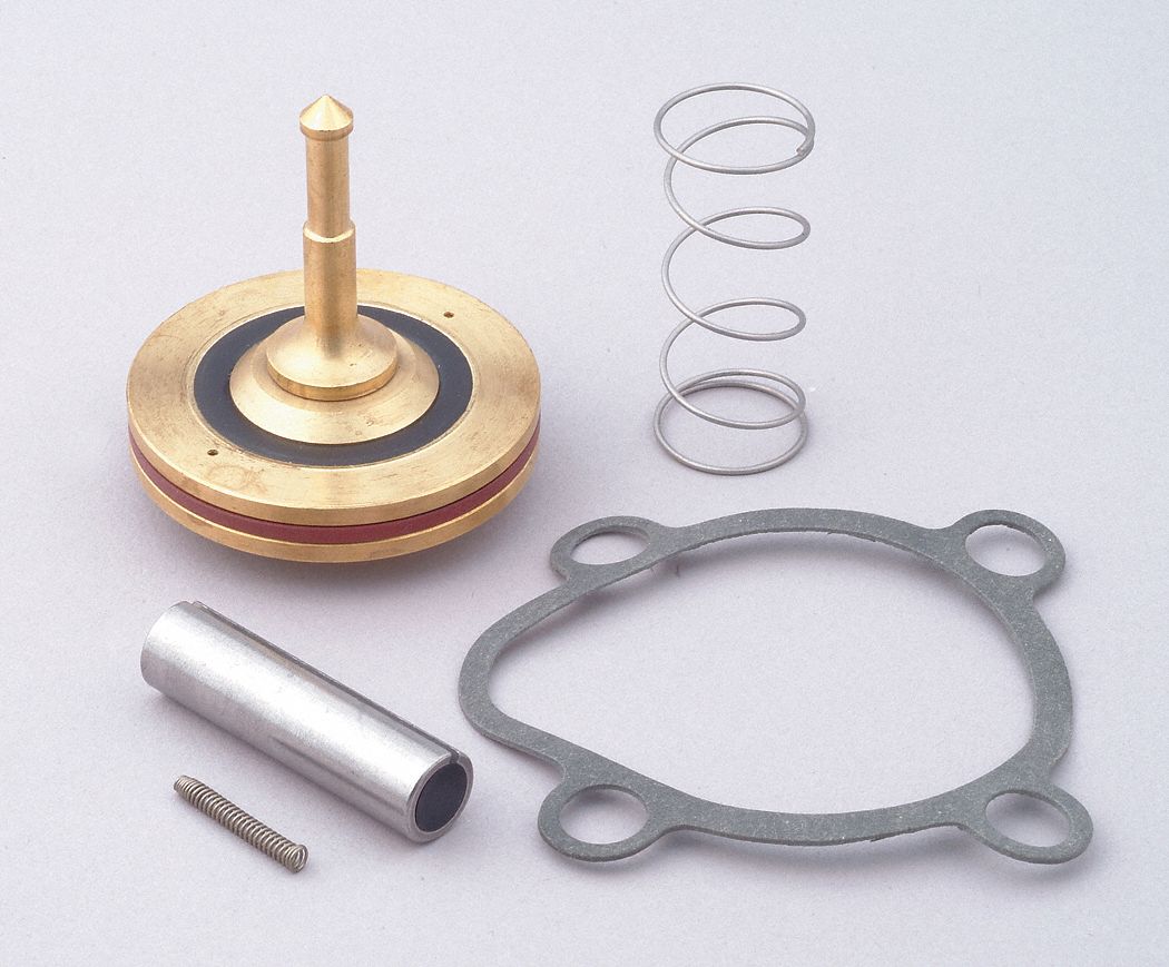 VALVE REBUILD KIT, INCLUDES GASKET, INSTRUCTIONS, PISTON ASSEMBLY/RING, PLUNGER ASSEMBLY, SPRING